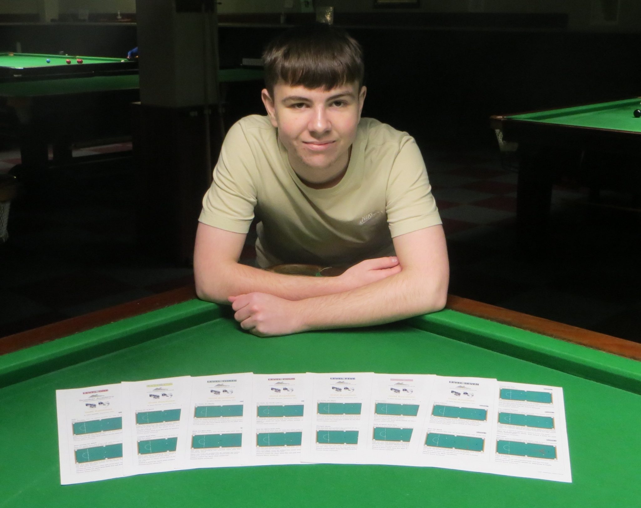 Hall of Fame Academy Levels Snooker Academy